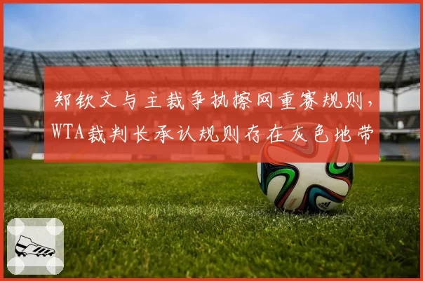 郑钦文与主裁争执擦网重赛规则，WTA裁判长承认规则存在灰色地带