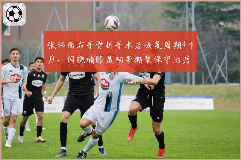 张伟丽右手骨折手术后恢复周期4个月，闫晓楠膝盖韧带撕裂保守治疗需6个月，UFC中国女将归期分明